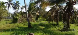 160 Perch Land for Sale Bopitiya