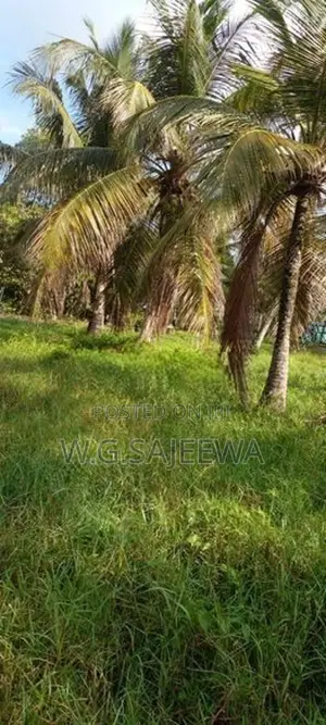 160 Perch Land for Sale Bopitiya