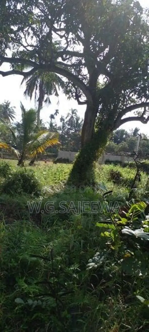 160 Perch Land for Sale Bopitiya