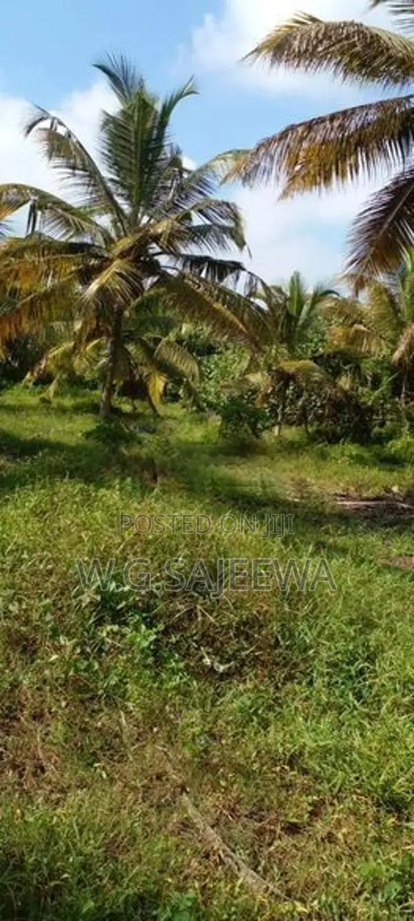 160 Perch Land for Sale Bopitiya