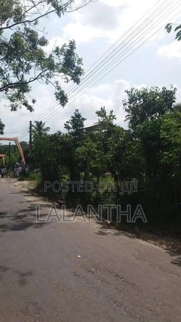 Land For Sale In Hikkaduwa Aluthwala