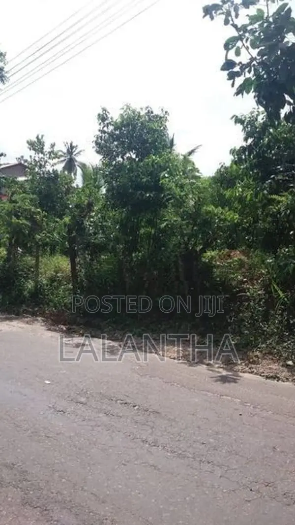 Land For Sale In Hikkaduwa Aluthwala
