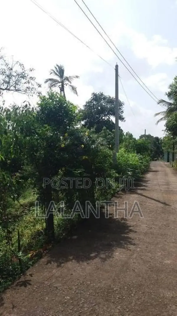 Land For Sale In Hikkaduwa Aluthwala