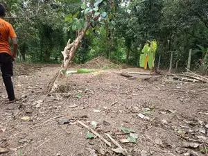 45 Perches Residential Land For Sale In Niwandama, Ja-Ela