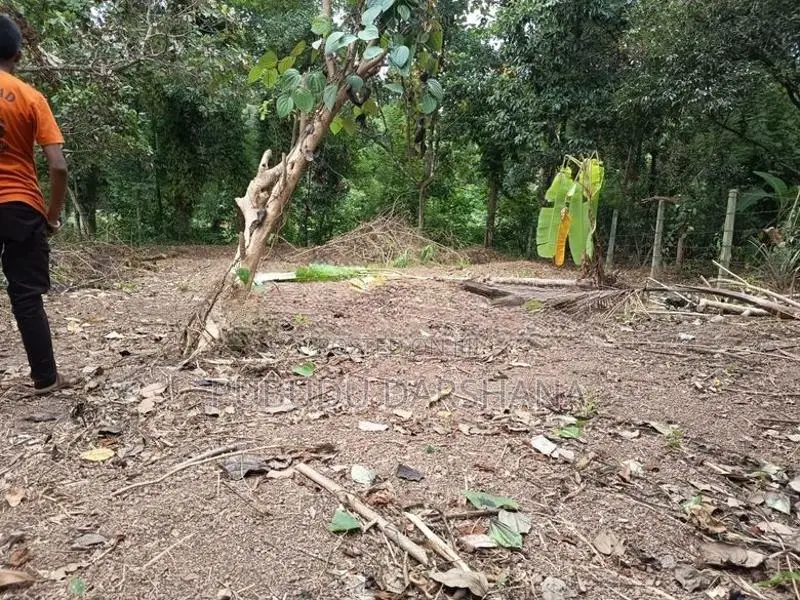 45 Perches Residential Land For Sale In Niwandama, Ja-Ela