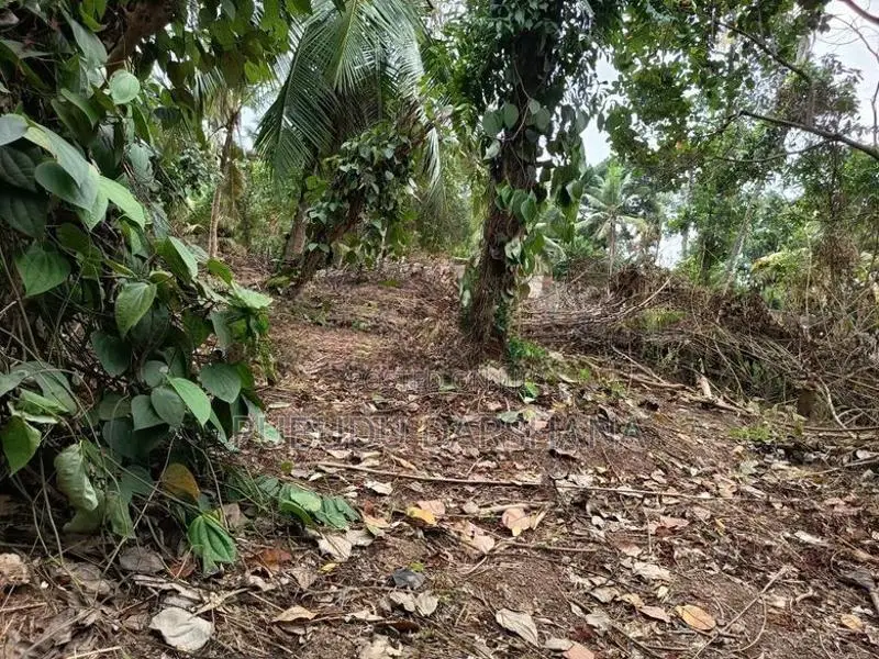 45 Perches Residential Land For Sale In Niwandama, Ja-Ela