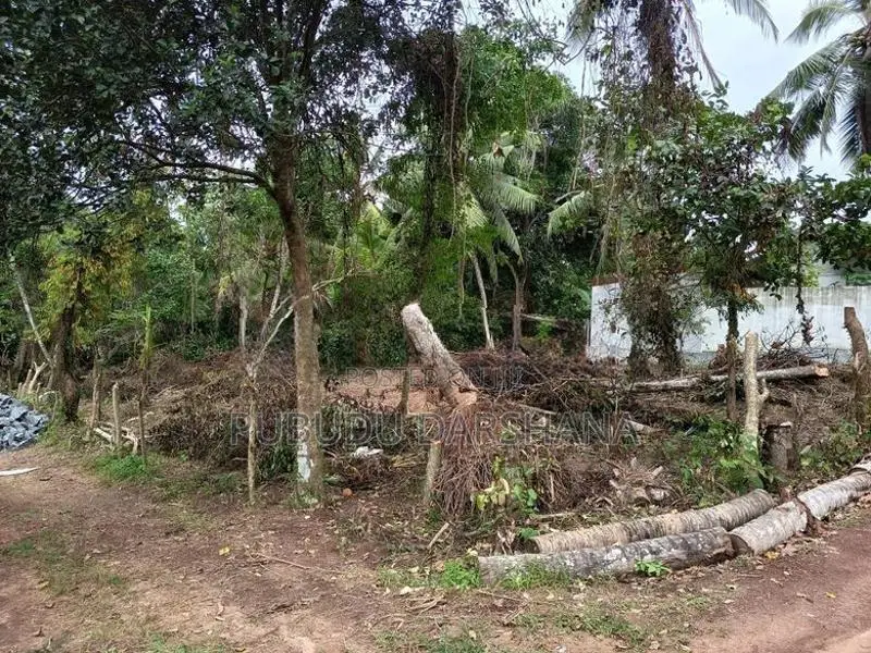 45 Perches Residential Land For Sale In Niwandama, Ja-Ela