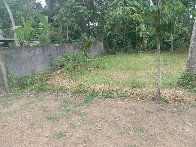 Land For Sale In Yakkala Miriswatta