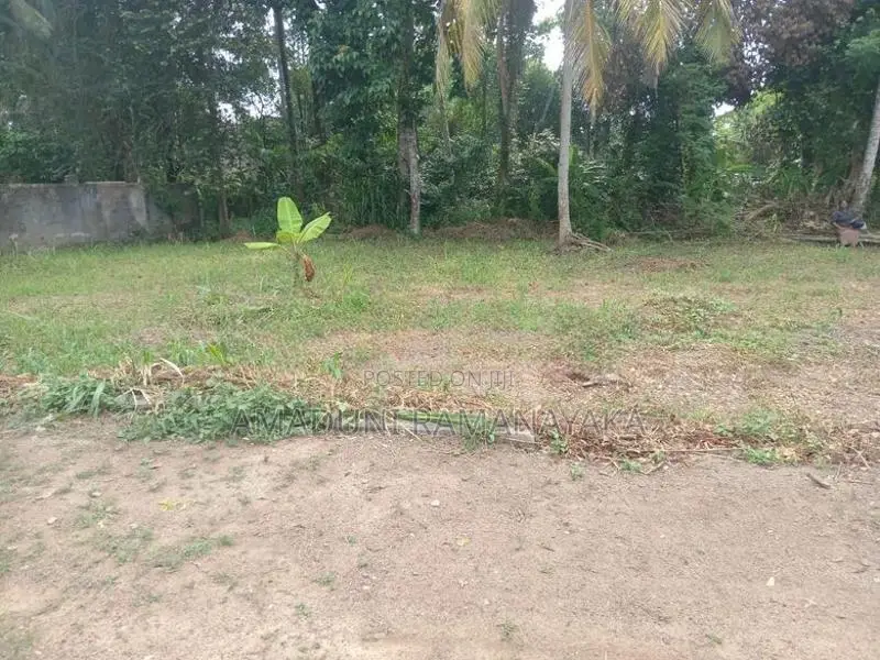 Land For Sale In Yakkala Miriswatta