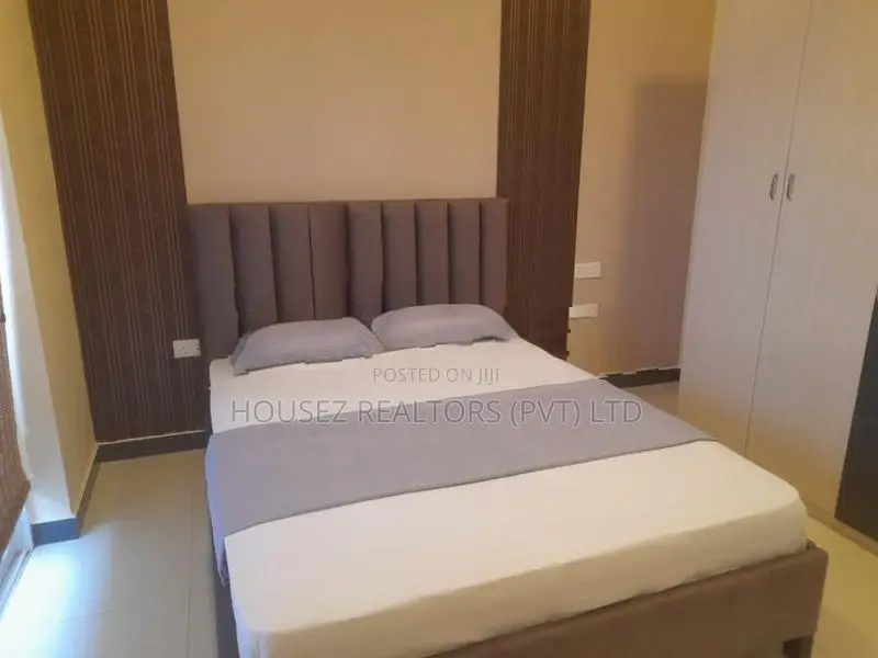 Luxury Fully Furnished 4-Bedroom Apartment for Rent Mount Lavania