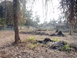 109 Perch Land with House for Sale Nainamadama, Wennappuwa
