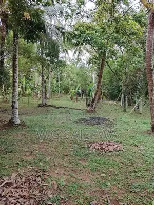 Valuable Land with House for Sale in Veyangoda