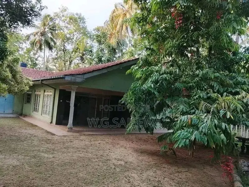 Valuable Land with House for Sale in Veyangoda