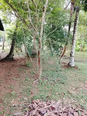 Valuable Land with House for Sale in Veyangoda