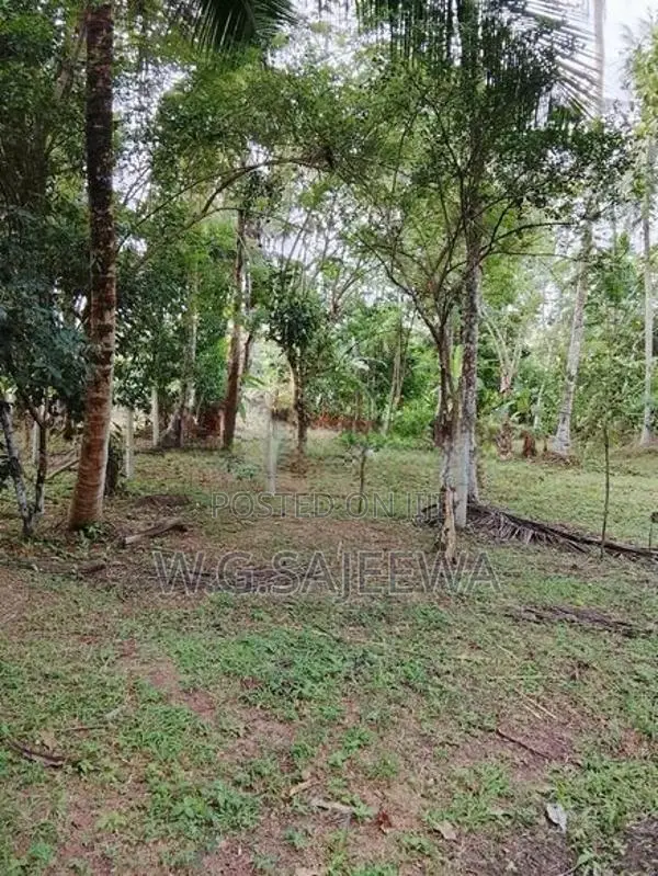 Valuable Land with House for Sale in Veyangoda