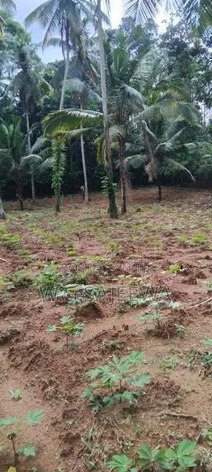 244 Perch Land for Sale Gampaha