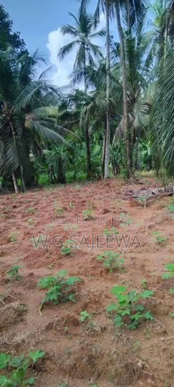 244 Perch Land for Sale Gampaha