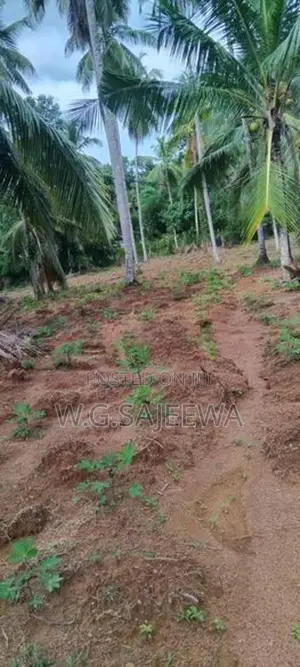 244 Perch Land for Sale Gampaha