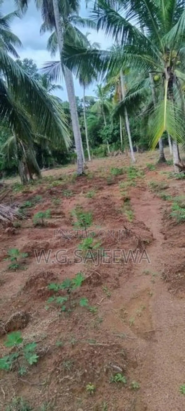 244 Perch Land for Sale Gampaha