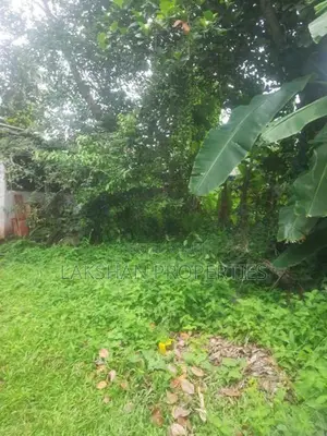 Land For Sale In Piliyandala Pelanwatta