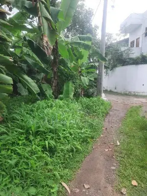 Land For Sale In Piliyandala Pelanwatta