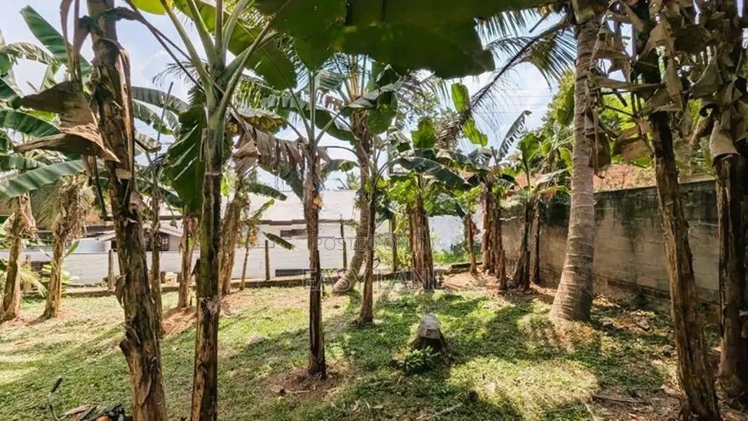 වැලිවේරිය නගරයට ආසන්නයෙන් වටිනා බිම් කොටසක් විකිණීමට
