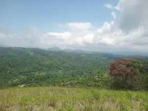 Land for Sale Nillamba