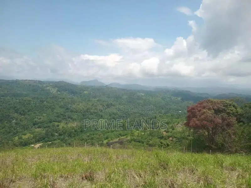 Land for Sale Nillamba