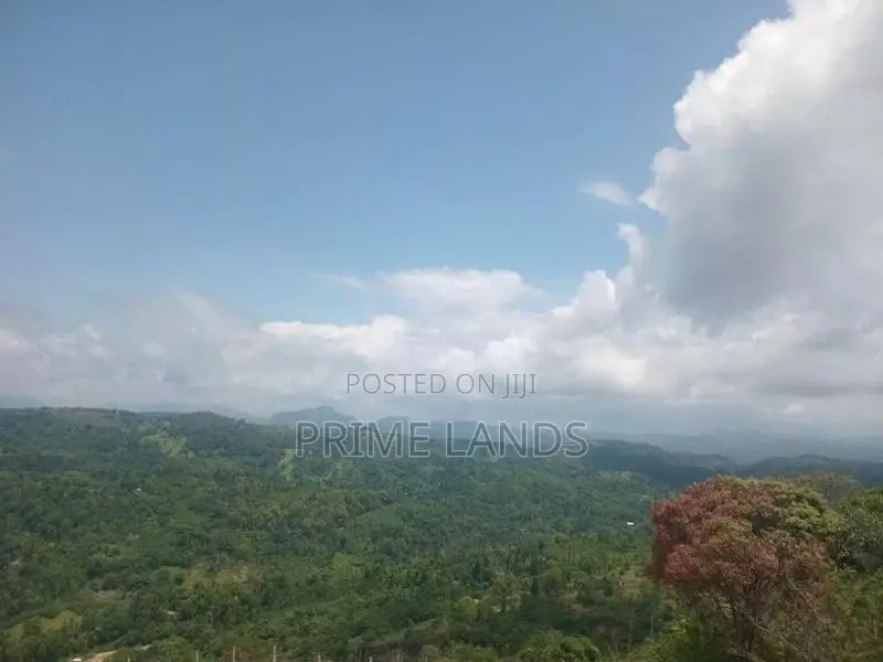 Land for Sale Nillamba