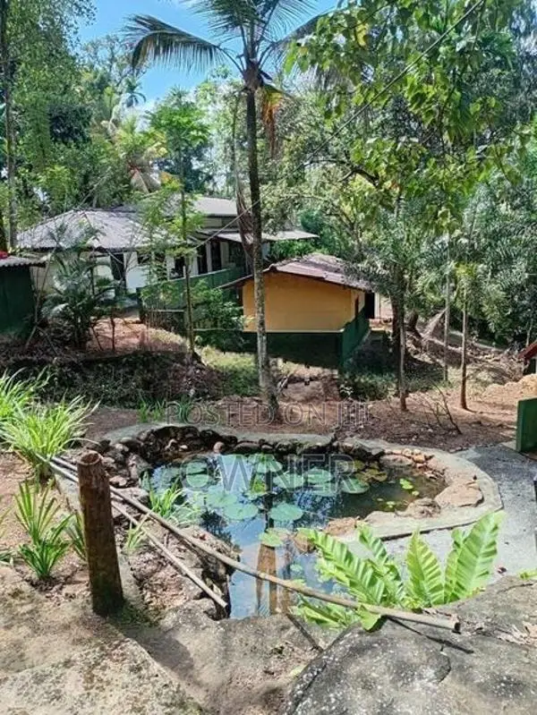 LUXURY TEA ESTATE FOR SALE - PELMADULLA