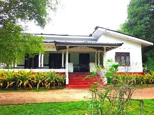 22.5 Acres Coconut Cultivated Land for Sale at Godigamuwa, Badalgama.