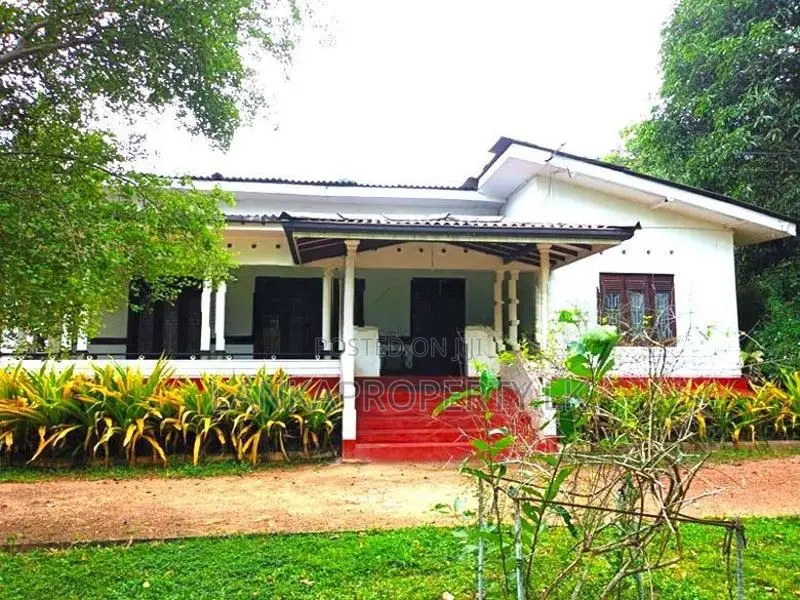 22.5 Acres Coconut Cultivated Land for Sale at Godigamuwa, Badalgama.