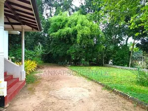 22.5 Acres Coconut Cultivated Land for Sale at Godigamuwa, Badalgama.