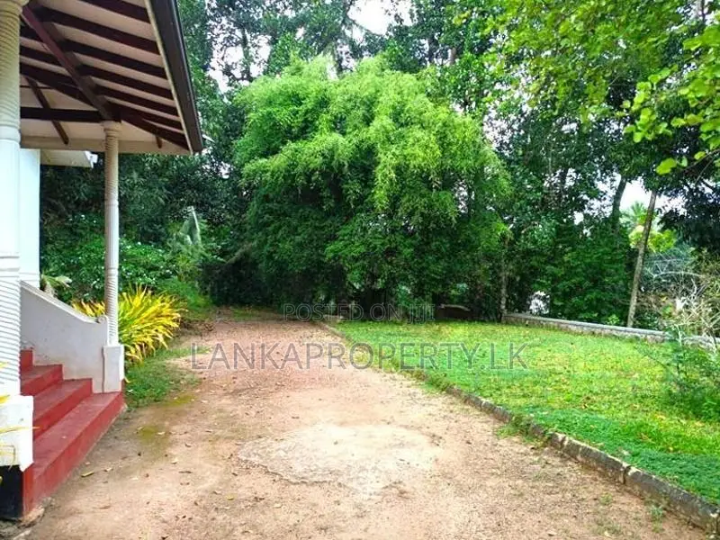 22.5 Acres Coconut Cultivated Land for Sale at Godigamuwa, Badalgama.