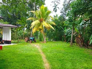 22.5 Acres Coconut Cultivated Land for Sale at Godigamuwa, Badalgama.