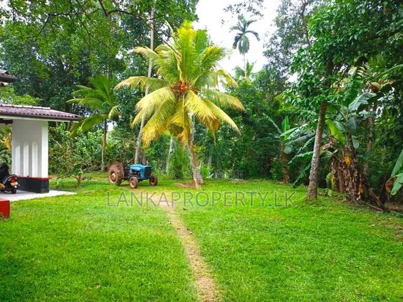 22.5 Acres Coconut Cultivated Land for Sale at Godigamuwa, Badalgama.