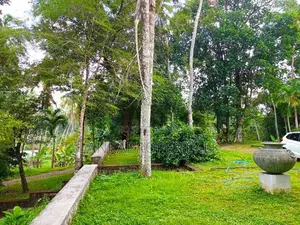 22.5 Acres Coconut Cultivated Land for Sale at Godigamuwa, Badalgama.
