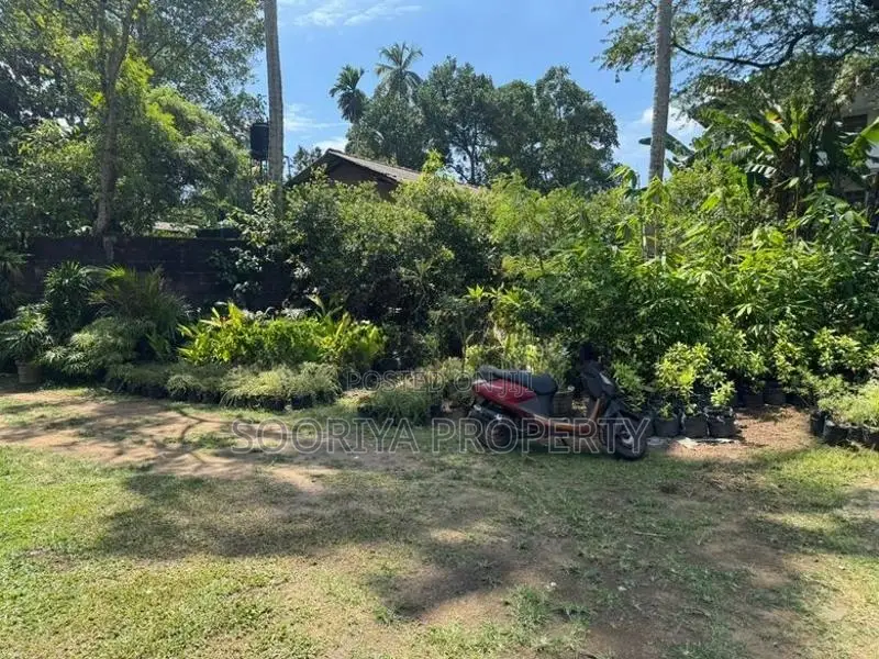 Commercial / Residential Land for Sale in Piliyandala Suwarapola