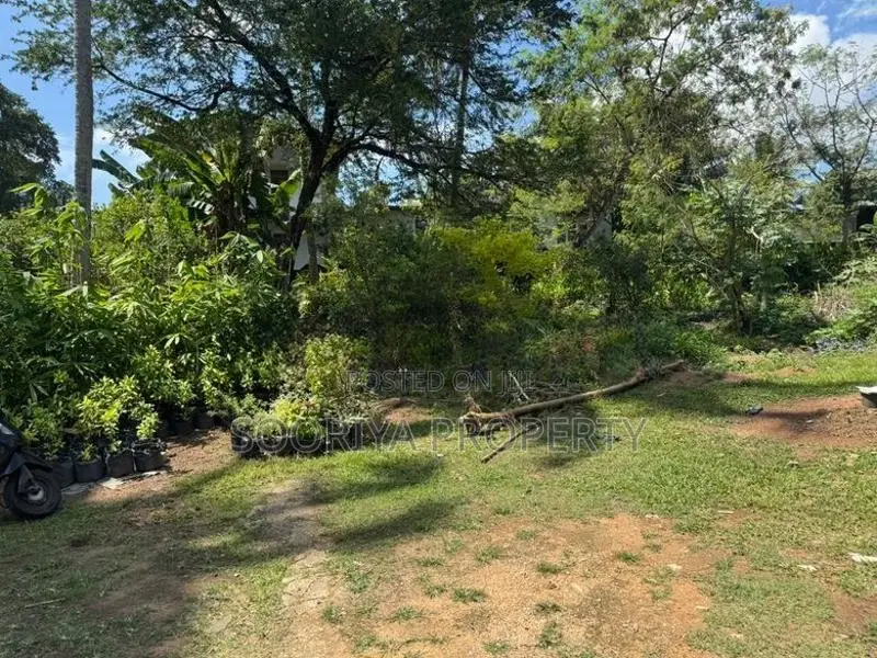 Near University 54 Perches Land for Sale in Moratuwa Piliyandala