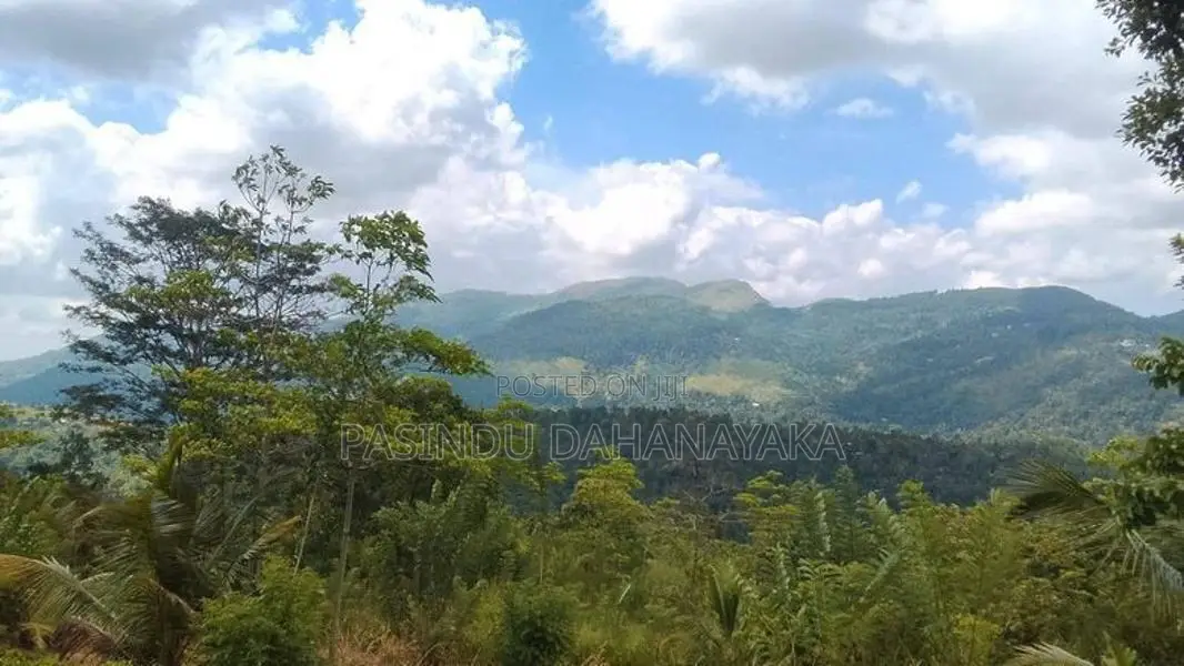වැලිමඩ ඉඩම