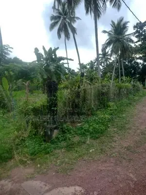 Prime Commercial Land for Lease - Ja Ela
