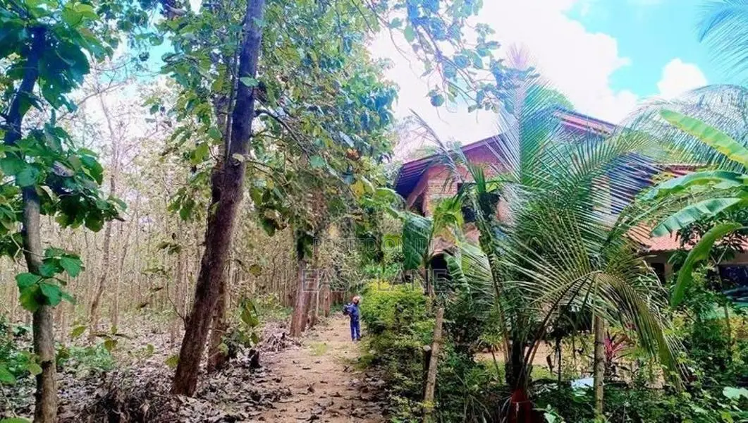 අනුරාධපුර පූජා නගරයට ආසන්නයෙන් සුපිරි ඉඩමක්