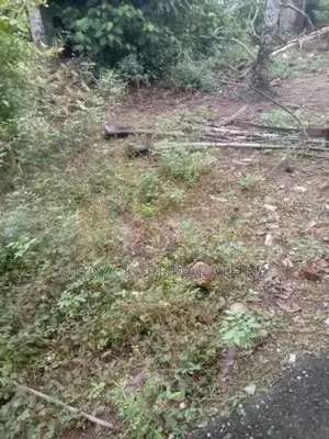 Land for Sale Hibutana