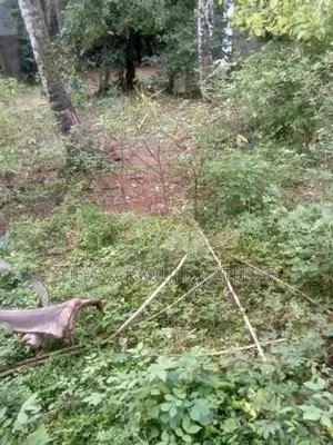 Land for Sale Hibutana