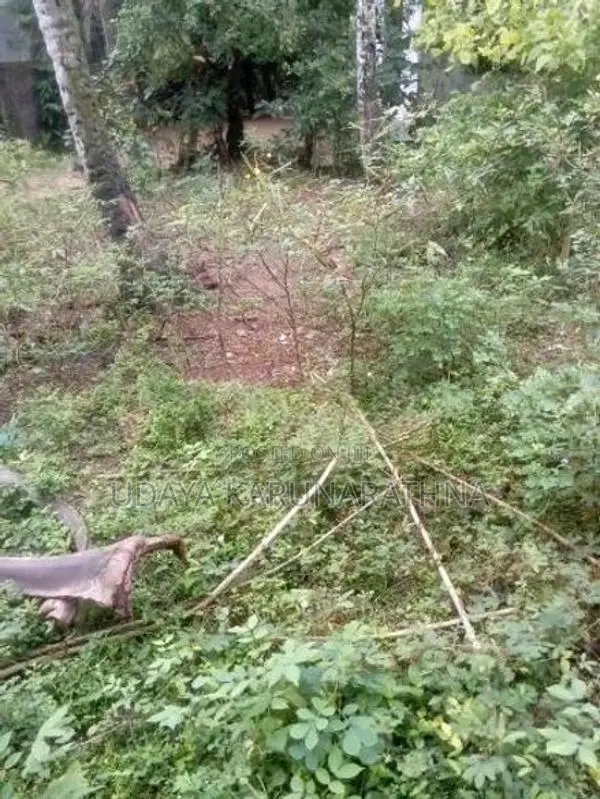 Land for Sale Hibutana