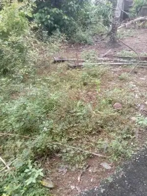 Land for Sale Hibutana