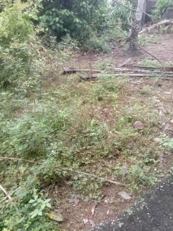 Land for Sale Hibutana