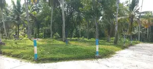 මිනුවන්ගොඩ දෙවොලපල බිම්කොටස්