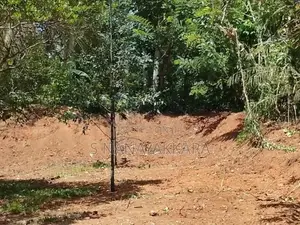 House and Land for Sale - Divulapitiya, Kotadeniyawa