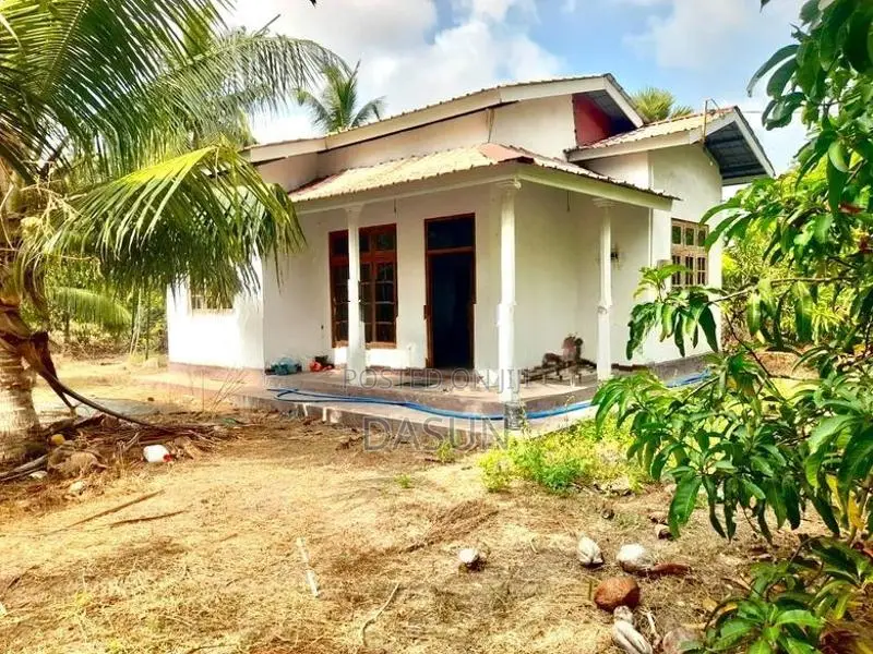 Coconut Land For Sale In Mundalama Chilaw